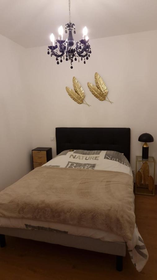 Appartement Cosy Centre Ville ロアンヌ エクステリア 写真