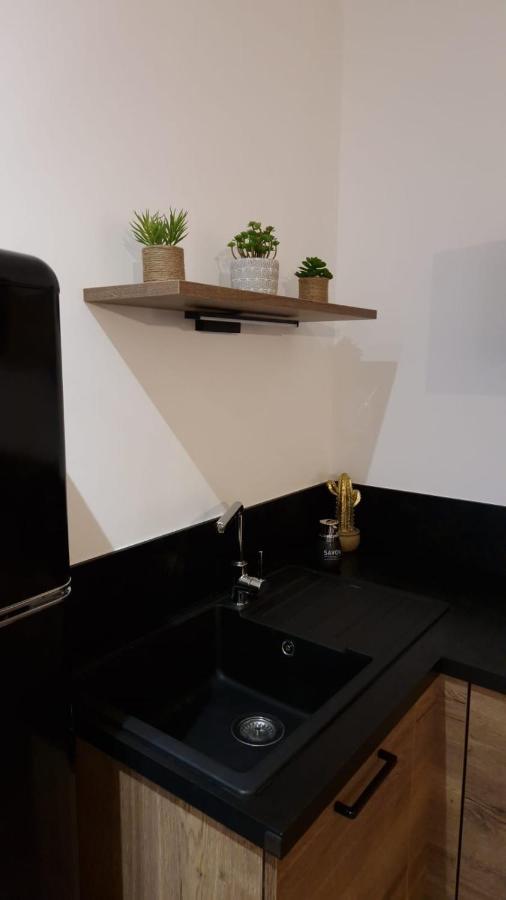 Appartement Cosy Centre Ville ロアンヌ エクステリア 写真